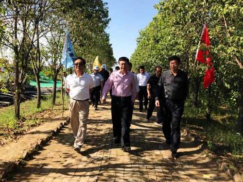 陜西省總工會黨組書記、主席白阿瑩一行蒞臨鄠邑區(qū)調(diào)研考察草堂寺健康養(yǎng)老示范項目