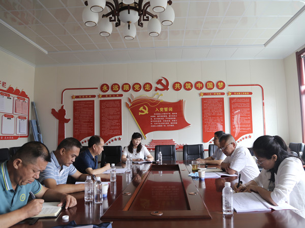 陜煤建設(shè)機(jī)電安裝公司召開黨支部標(biāo)準(zhǔn)化建設(shè)督導(dǎo)推進(jìn)會