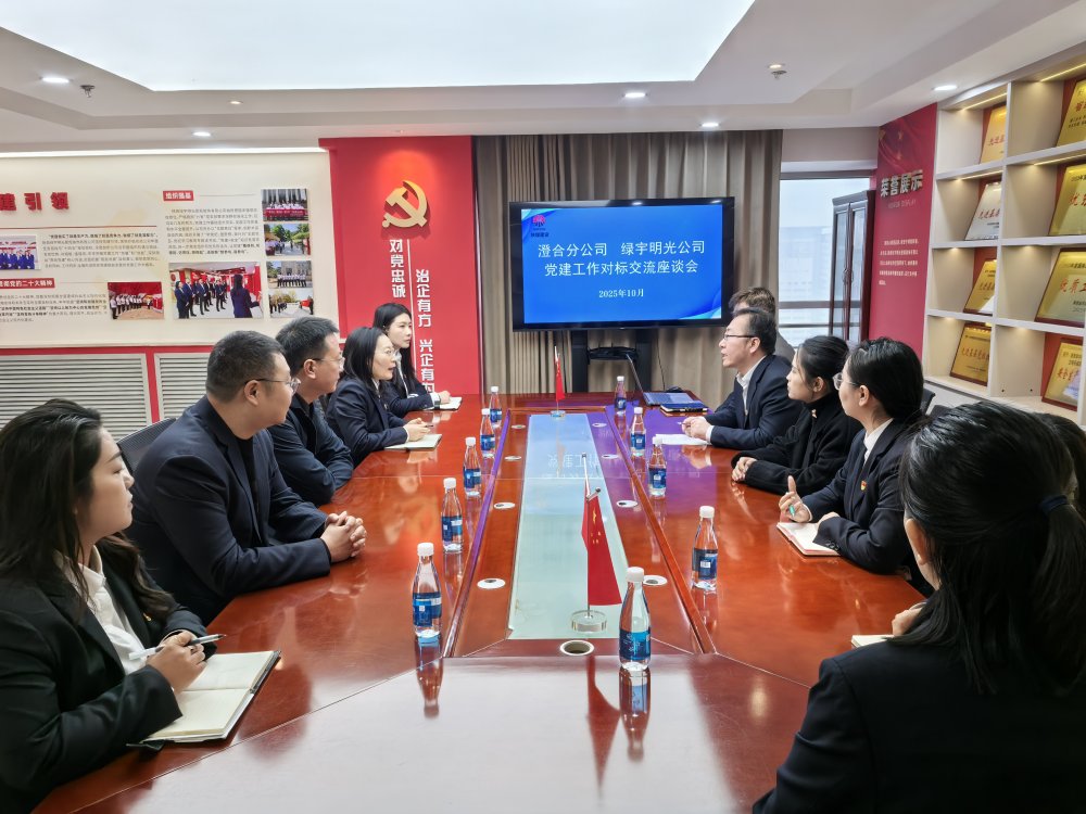 黨建互鑒強堡壘 協(xié)同賦能譜新篇